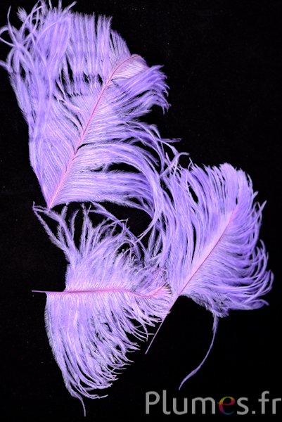 Autruche têtes - 10-15 cm - lilas